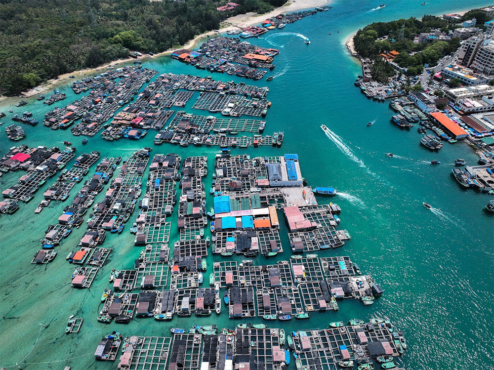 Along the coast, the Danjia people, once known as “sea gypsies,” still live on floating fishing rafts called fishing platforms (渔排)