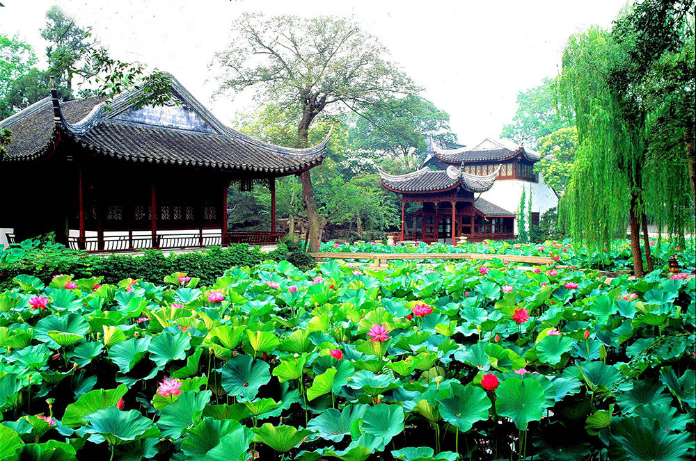 Humble Administrator’s Garden