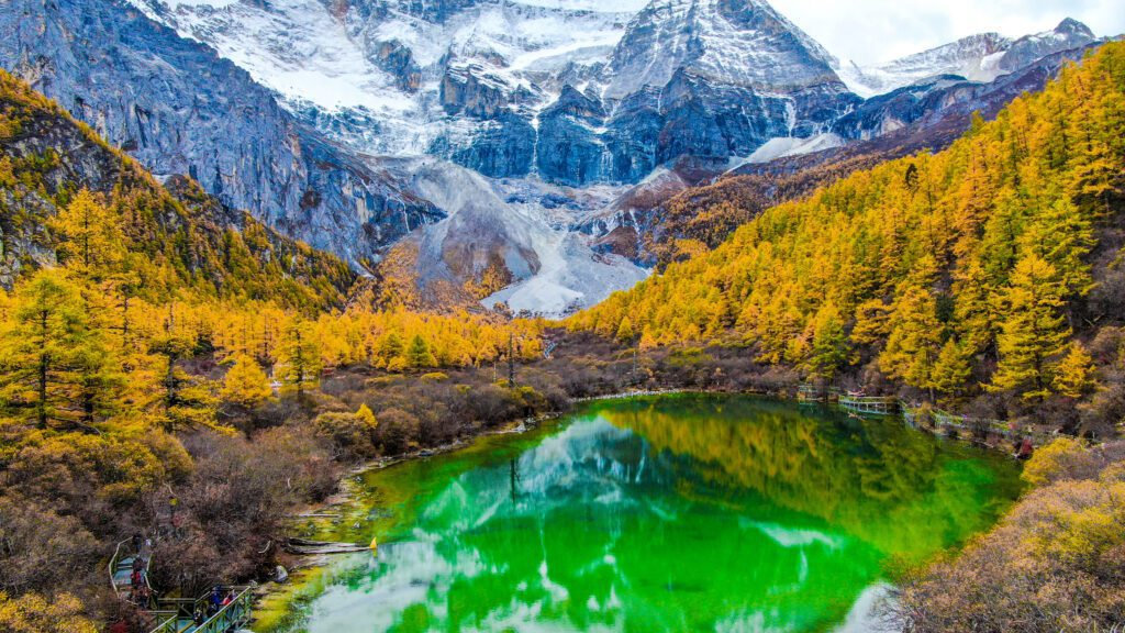 Daocheng Yading: A Tibetan Daydream Painted in Autumn Gold