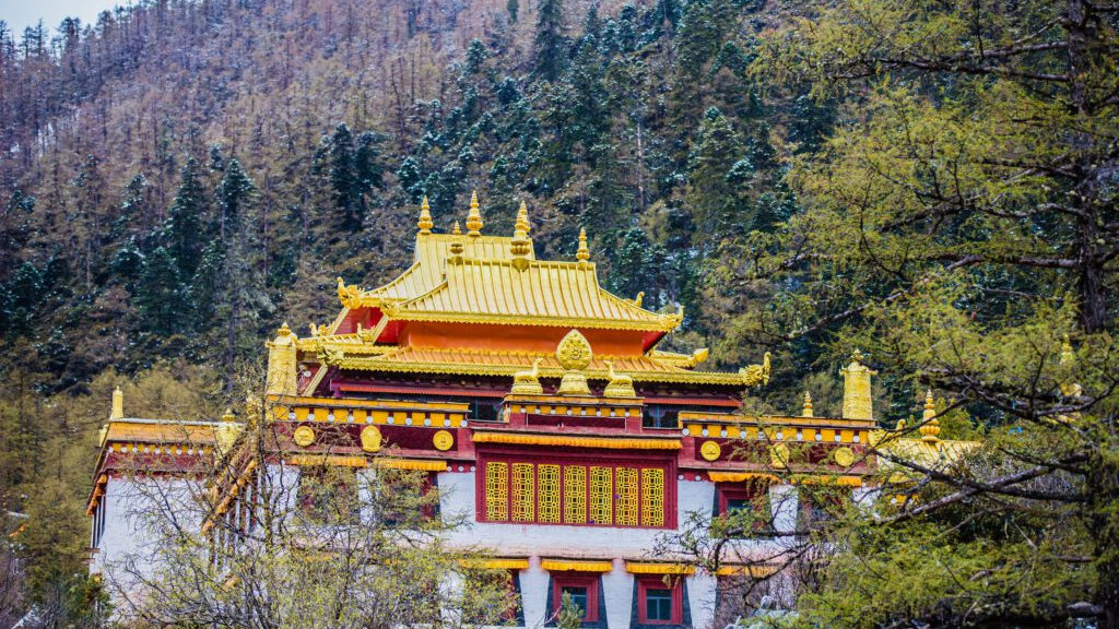A Place of Pilgrimage: Tibetan Buddhism in Daocheng