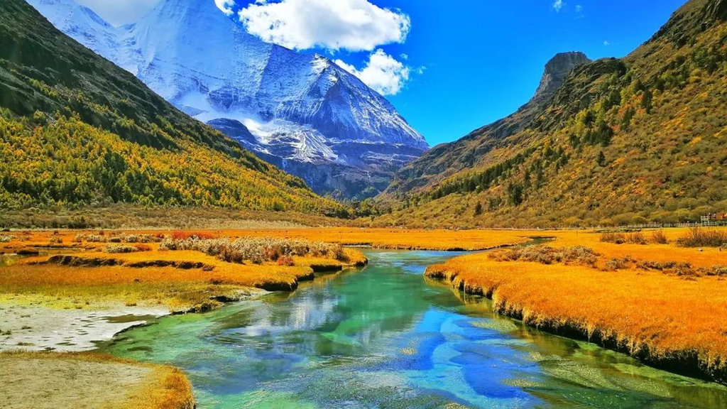 A Canvas of Gold: China’s Most Beautiful Autumn