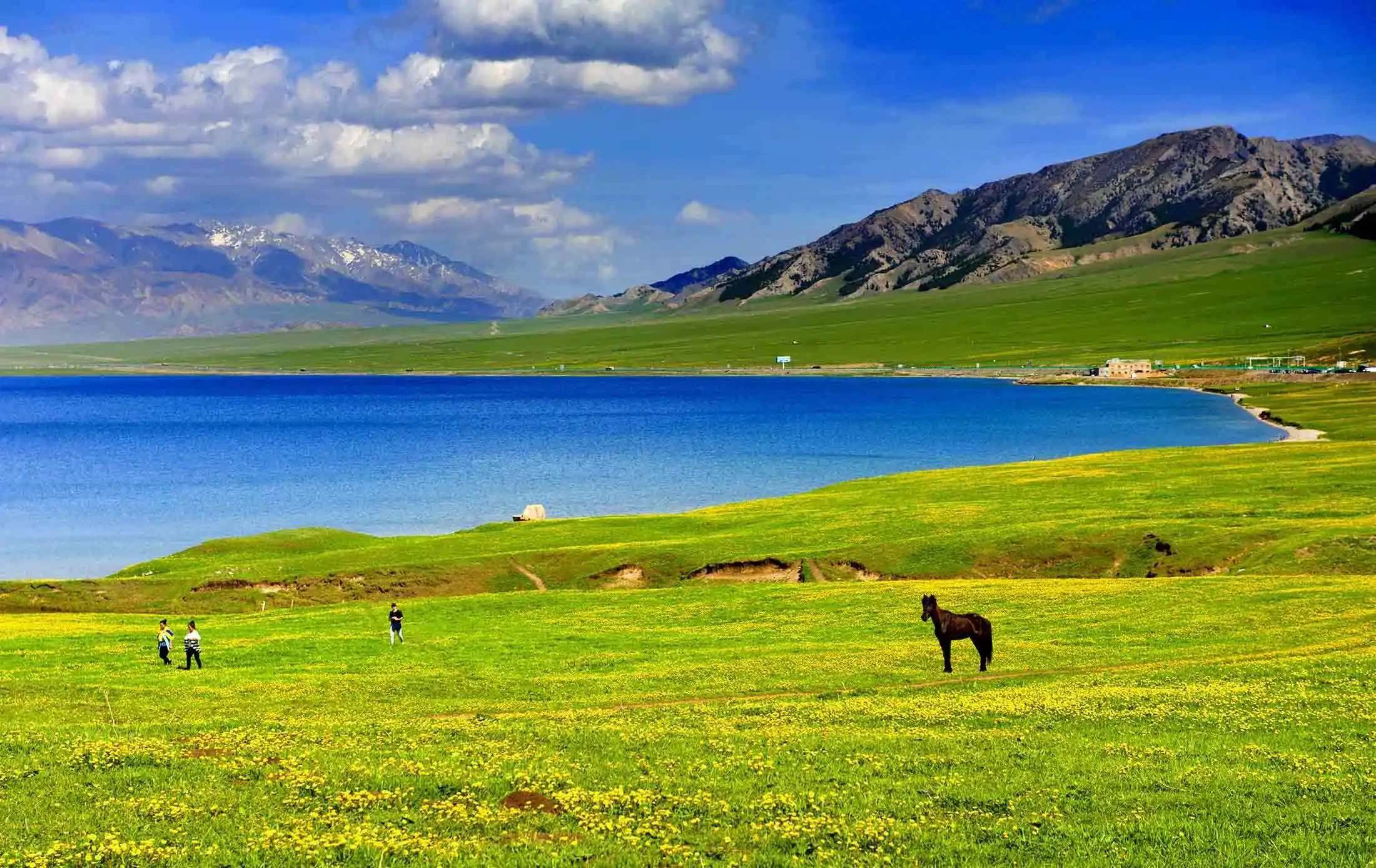 Sayram Lake: Where the Sky Meets the Heart