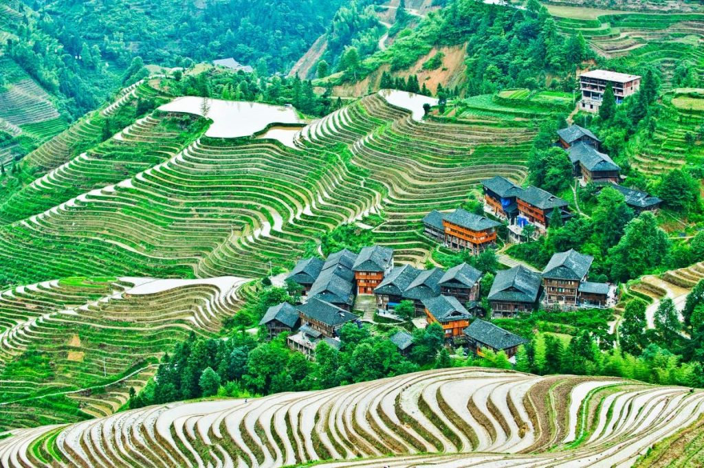 Longji Rice Terraces
