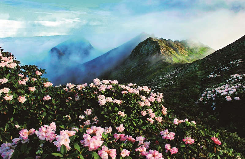 Cangshan Mountain