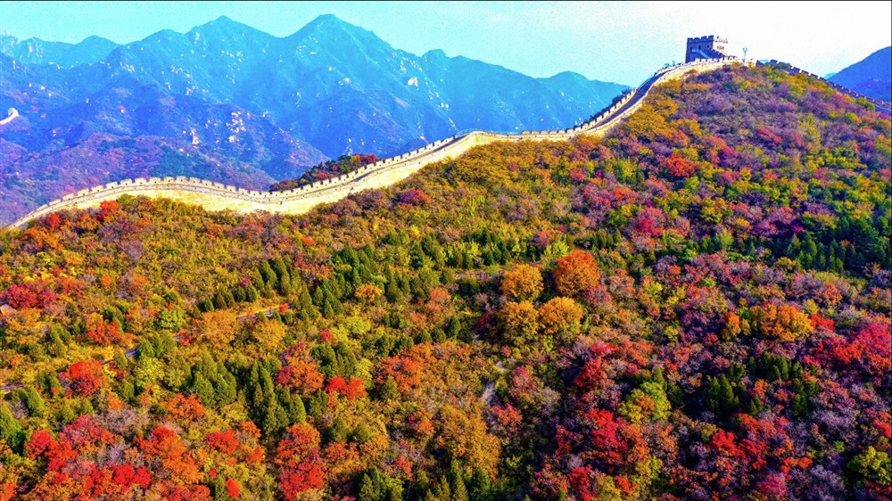 ree