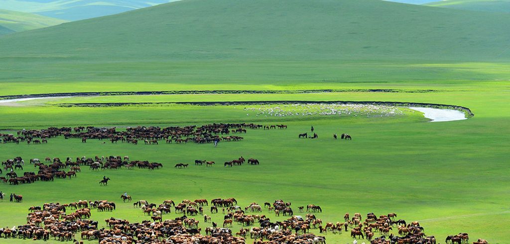 Inner Mongolia Travel Guide: Endless Grasslands, Nomadic Stories, and Local Flavors