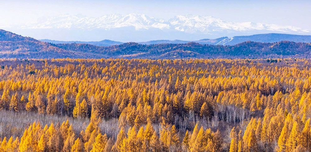 Jilin Changbai Mountain Autumn Travel: A Fiery Tapestry of Nature and Culture