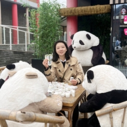 China Travel Designer Dolly