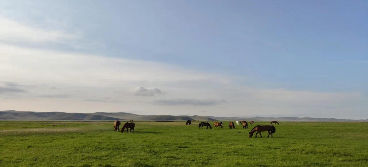 Inner Mongolia