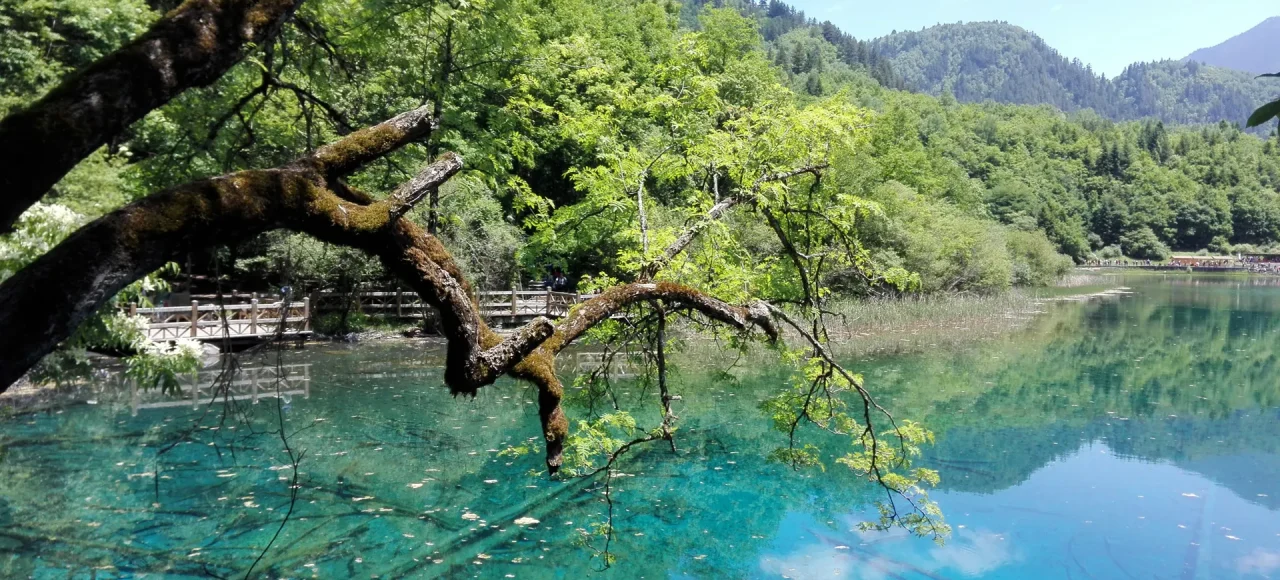Jiuzhai Valley National Park, Aba Prefecture