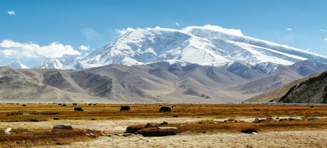 Xinjiang