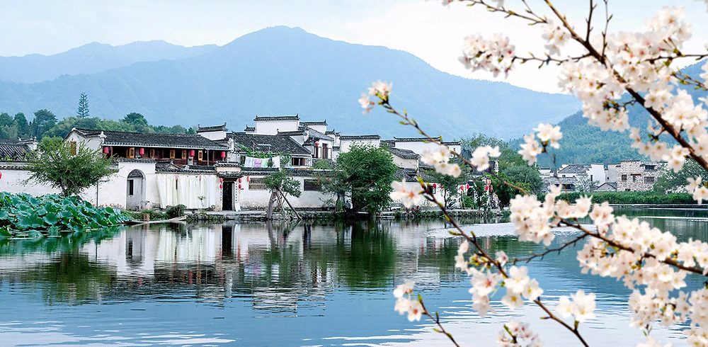 Hongcun: A Golden Spring Escape for Elderly Travelers