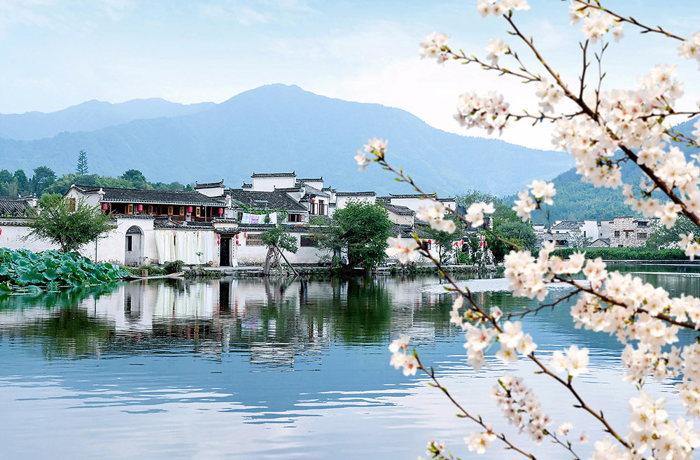 Hongcun: A Golden Spring Escape for Elderly Travelers