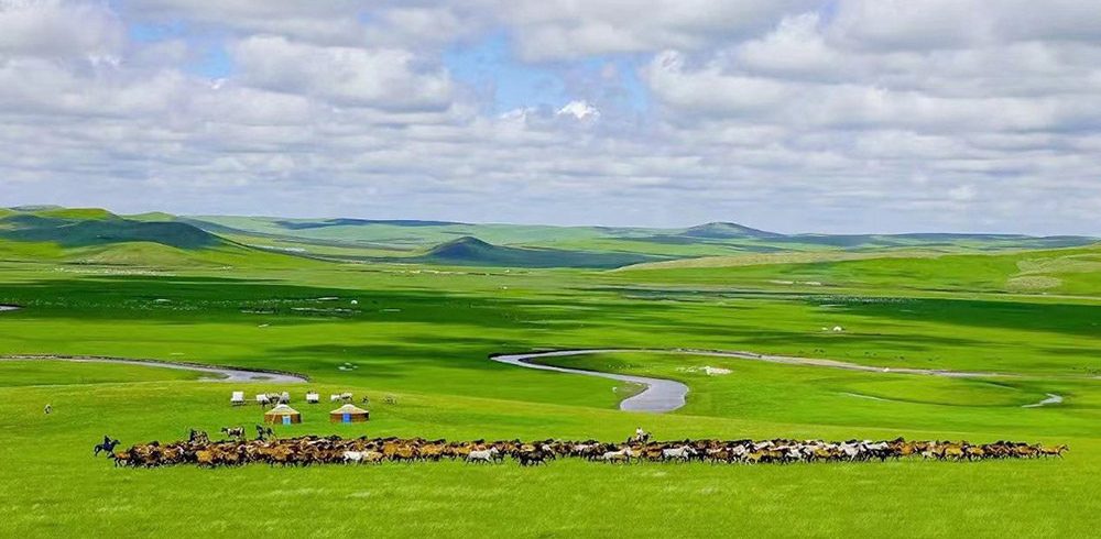 Hulunbuir: A Vast Grassland Adventure with Nomadic Charm