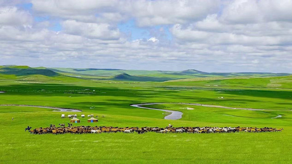 Hulunbuir: A Vast Grassland Adventure with Nomadic Charm