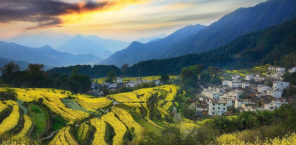 Wuyuan: A Storybook of Hui-Style Villages and Golden Rapeseed Seas