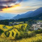 Wuyuan: A Storybook of Hui-Style Villages and Golden Rapeseed Seas