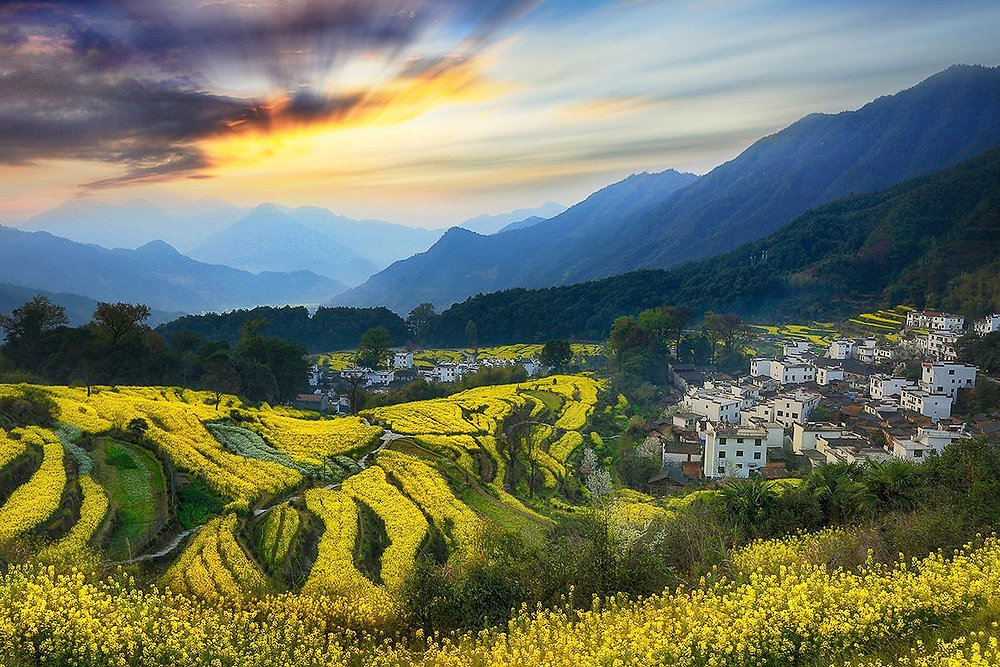 Wuyuan: A Storybook of Hui-Style Villages and Golden Rapeseed Seas