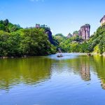 Wuyishan: Exploring the Four Famous Chinese Teas and Scenic Wonders