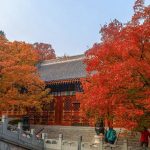 10 Stunning Autumn Foliage Spots in China