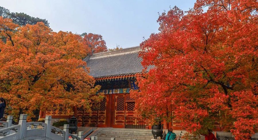 10 Stunning Autumn Foliage Spots in China