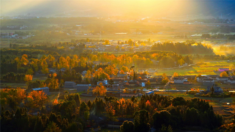 Yunnan Tengchong Autumn Travel Guide: Discover the Golden Ginkgo Wonderland 