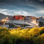 Tibet Autumn Travel Guide: A Golden Journey Above the Clouds