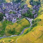 Guangxi Longji Rice Terraces: A Flowing Golden Symphony of Autumn Guangxi Longji Rice Terraces: A Flowing Golden Symphony of Autumn