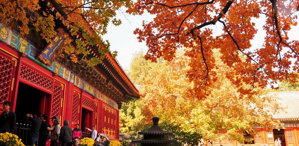 Beijing Xiangshan Autumn Red Leaf Travel: Frost-Kissed Colors of the Imperial Hills