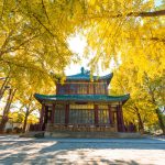 Nanjing Autumn Travel Guide – Golden Leaves and Ancient Whispers in the City of Six Dynasties Nanjing Autumn Travel Guide – Golden Leaves and Ancient Whispers in the City of Six Dynasties