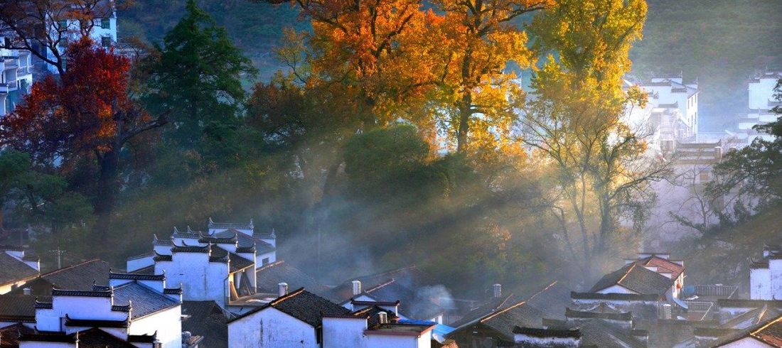 Jiangxi Wuyuan Autumn Travel: A Living Ink Painting of Warm Colors