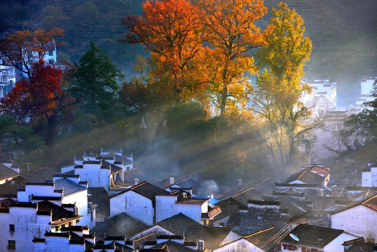 Jiangxi Wuyuan Autumn Travel: A Living Ink Painting of Warm Colors